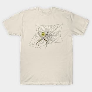 spider on web T-Shirt